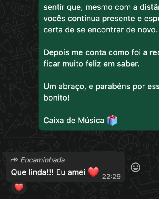 Cliente no WhatsApp: "Que linda!!! Eu amei"